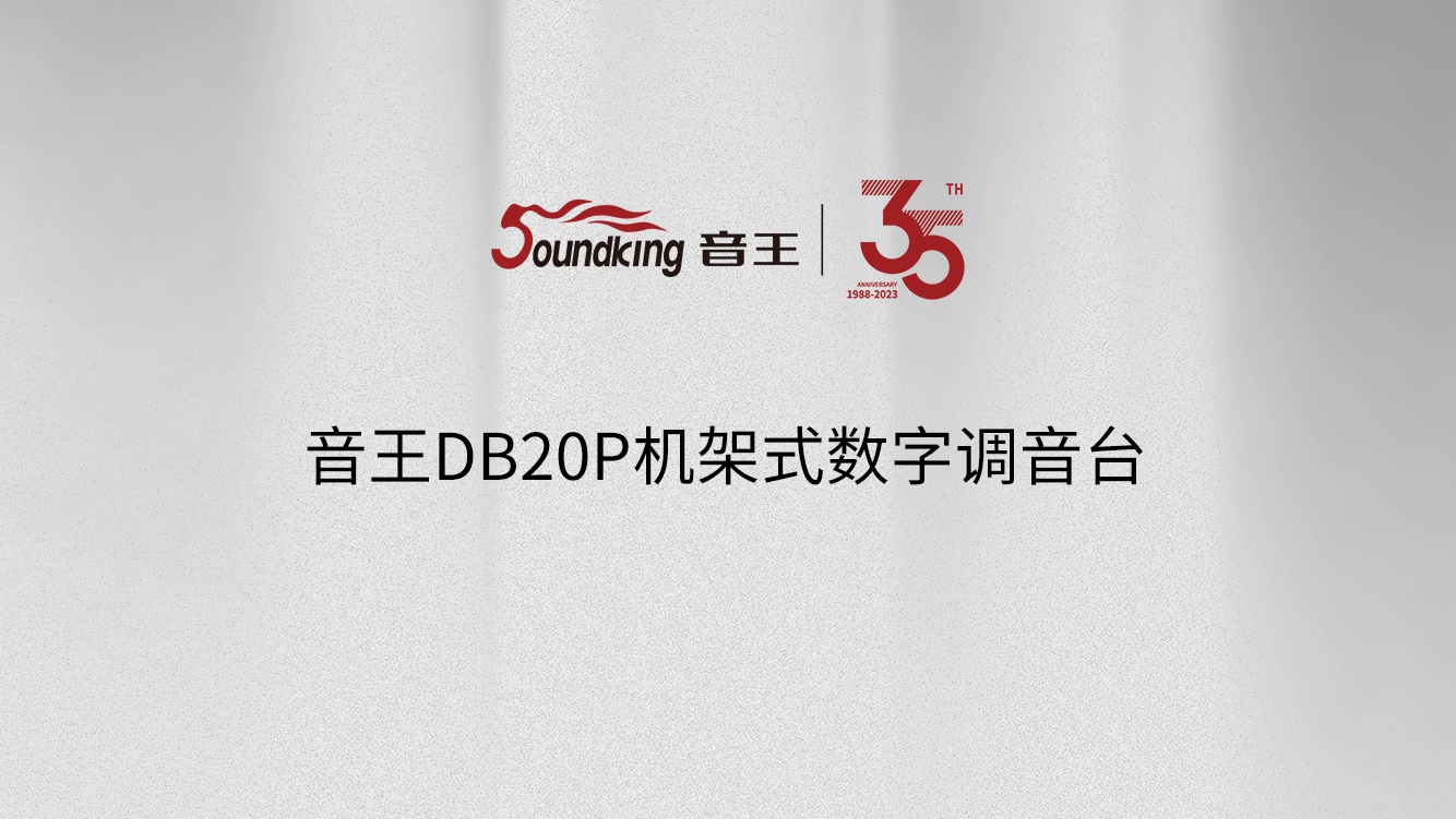 音王DB20P機(jī)架式數(shù)字調(diào)音臺(tái)